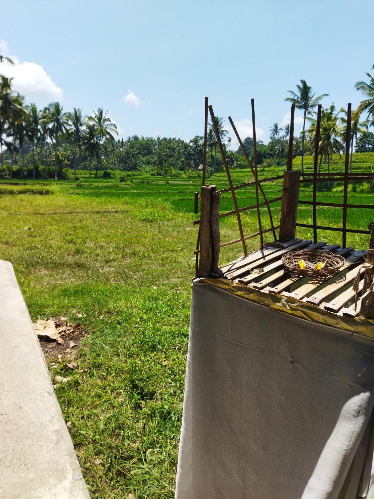 Wahwik'S House Hotel Ubud  Exterior photo