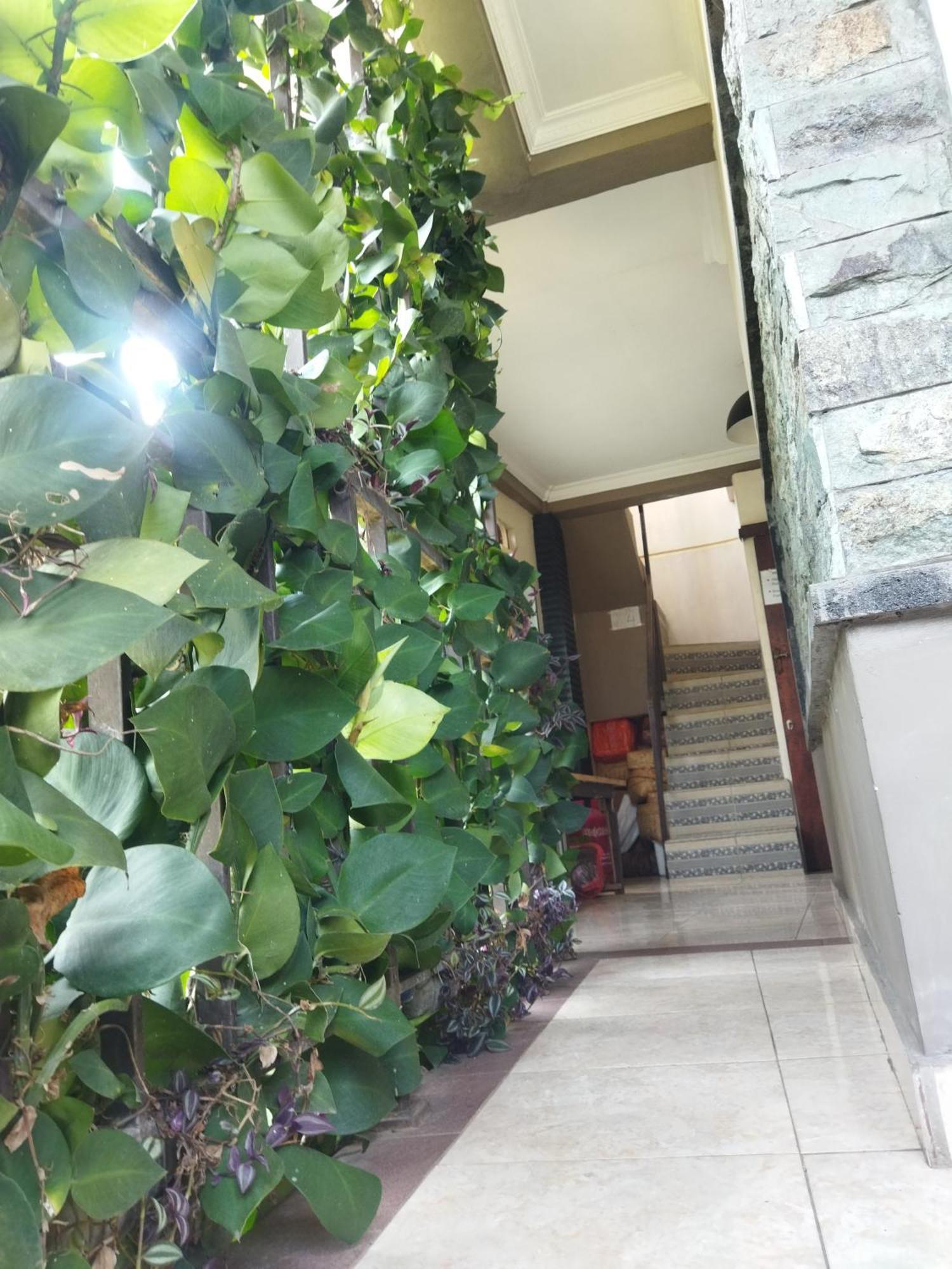 Wahwik'S House Hotel Ubud  Exterior photo