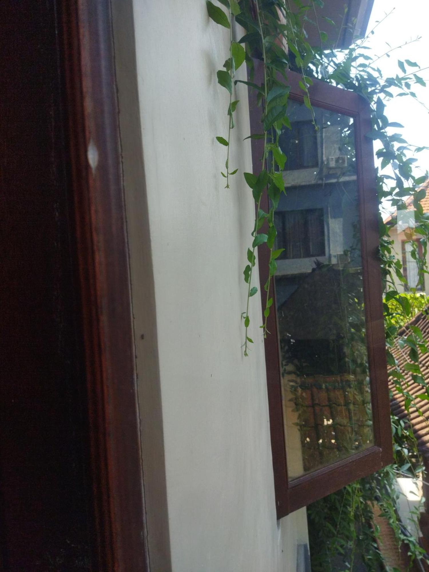 Wahwik'S House Hotel Ubud  Exterior photo