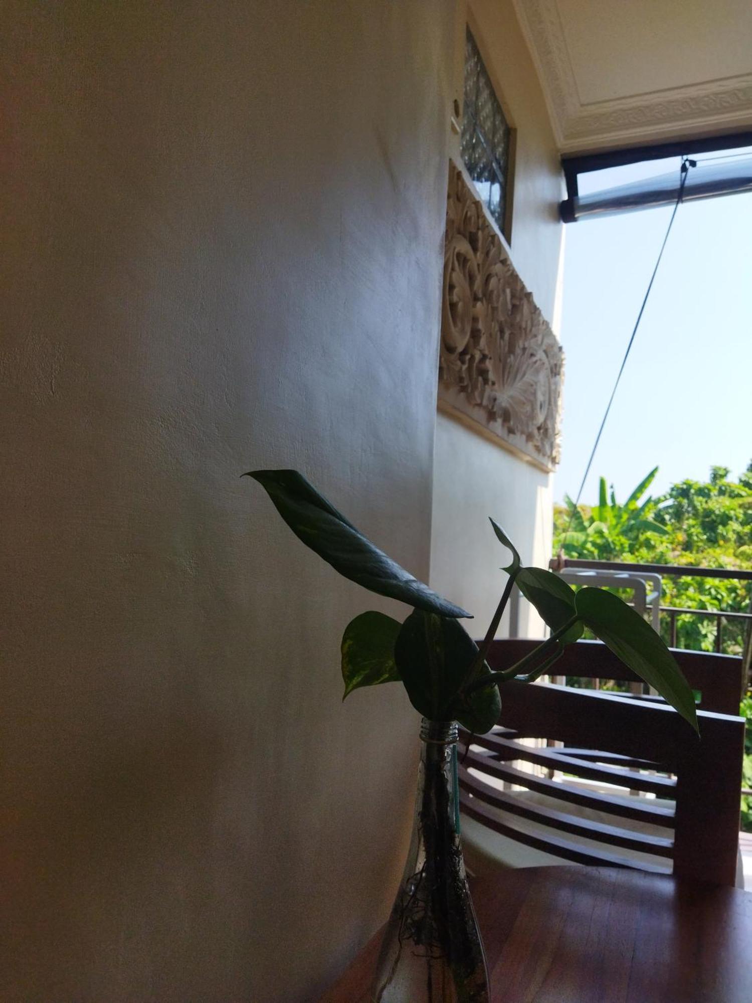 Wahwik'S House Hotel Ubud  Exterior photo