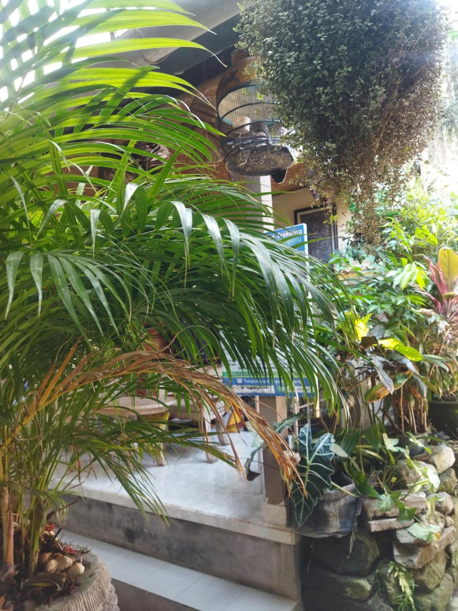 Wahwik'S House Hotel Ubud  Exterior photo