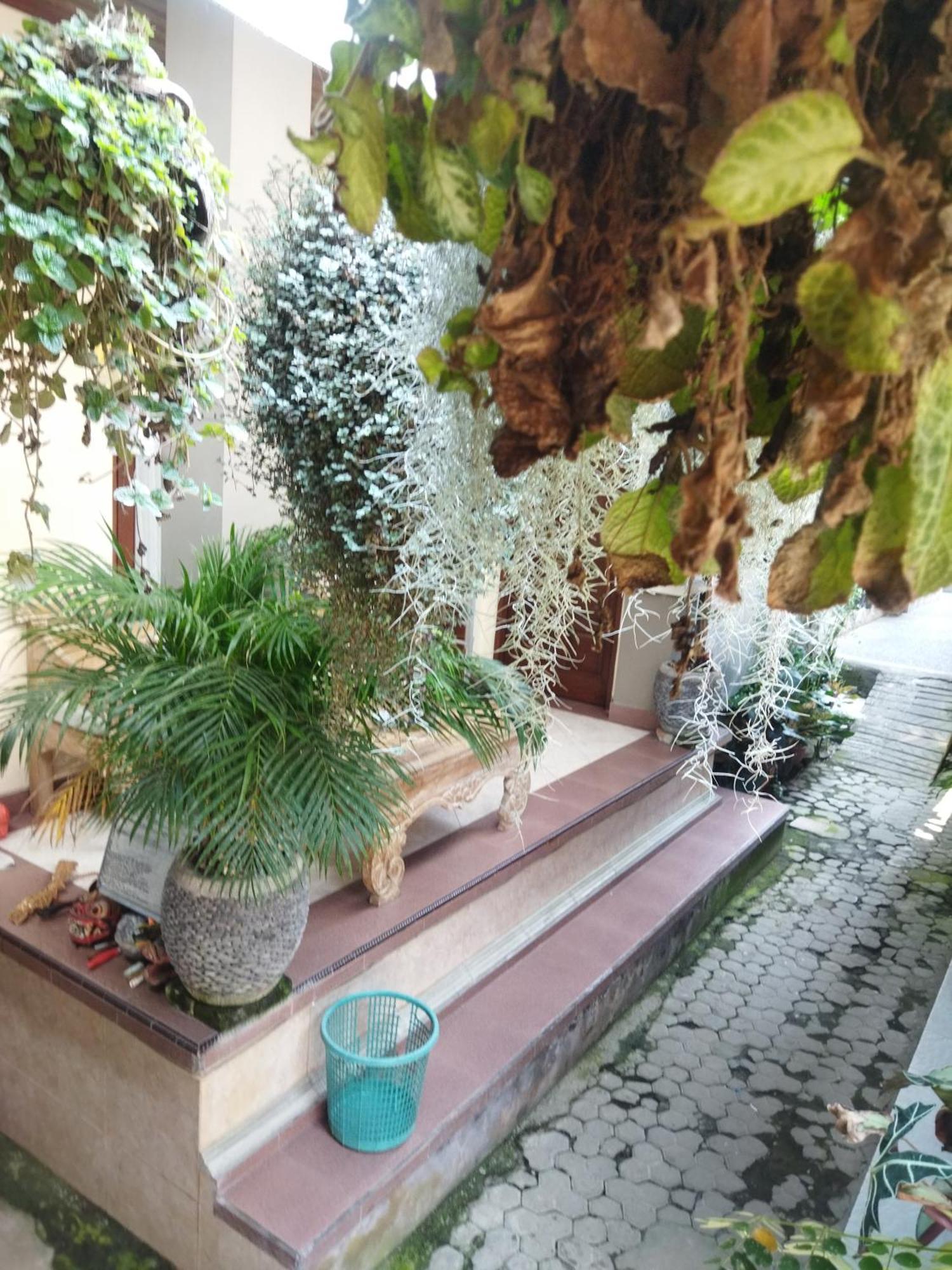 Wahwik'S House Hotel Ubud  Exterior photo