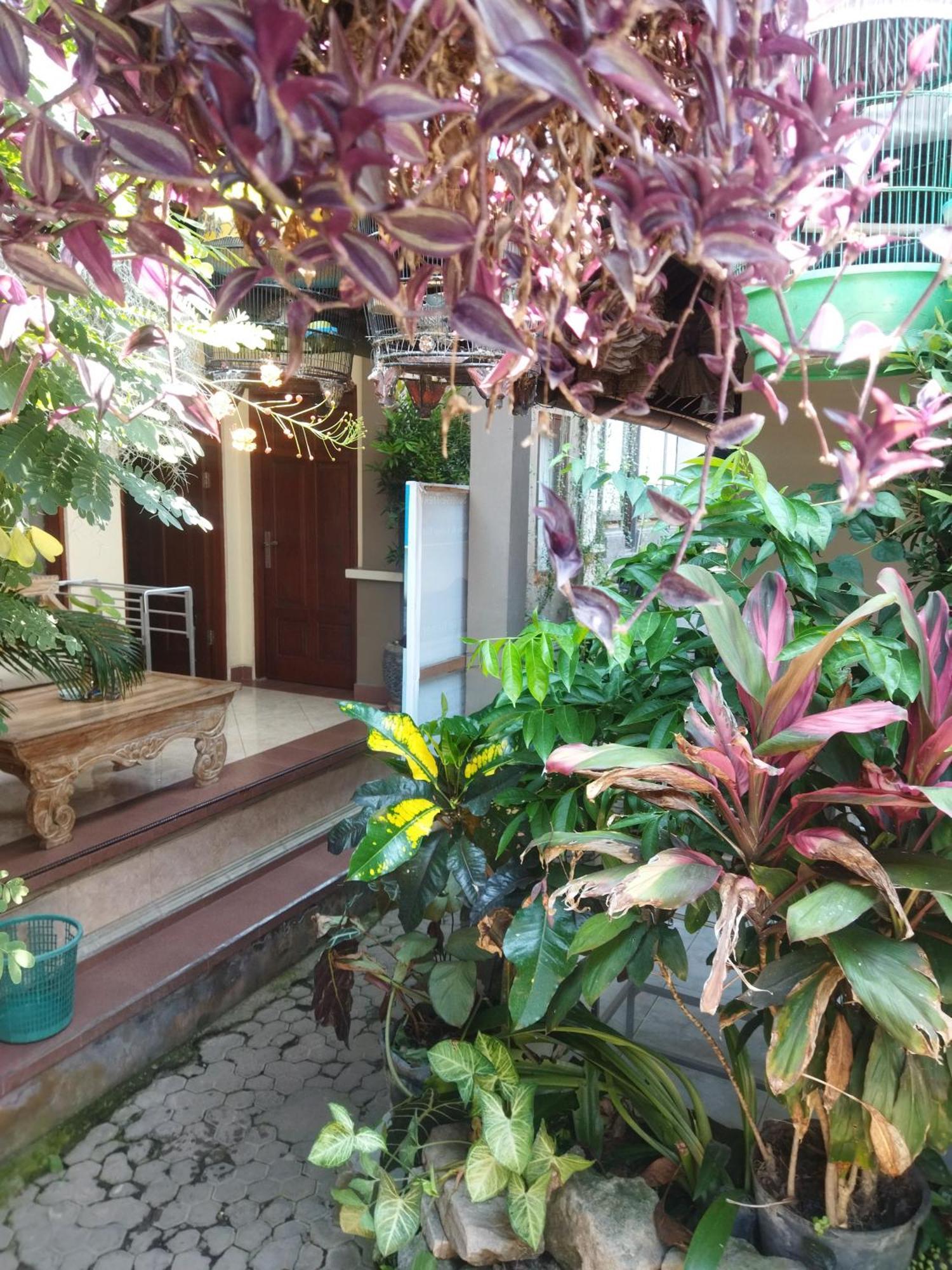 Wahwik'S House Hotel Ubud  Exterior photo