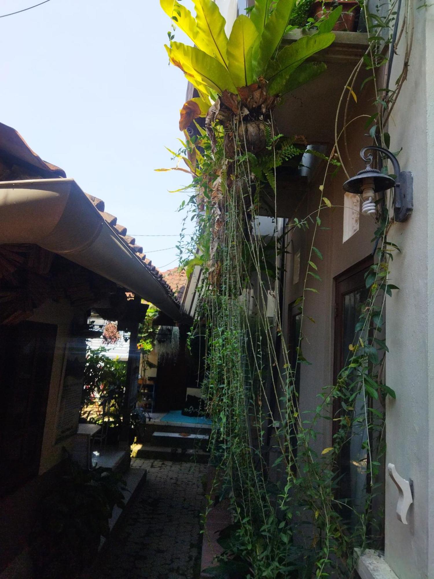 Wahwik'S House Hotel Ubud  Exterior photo
