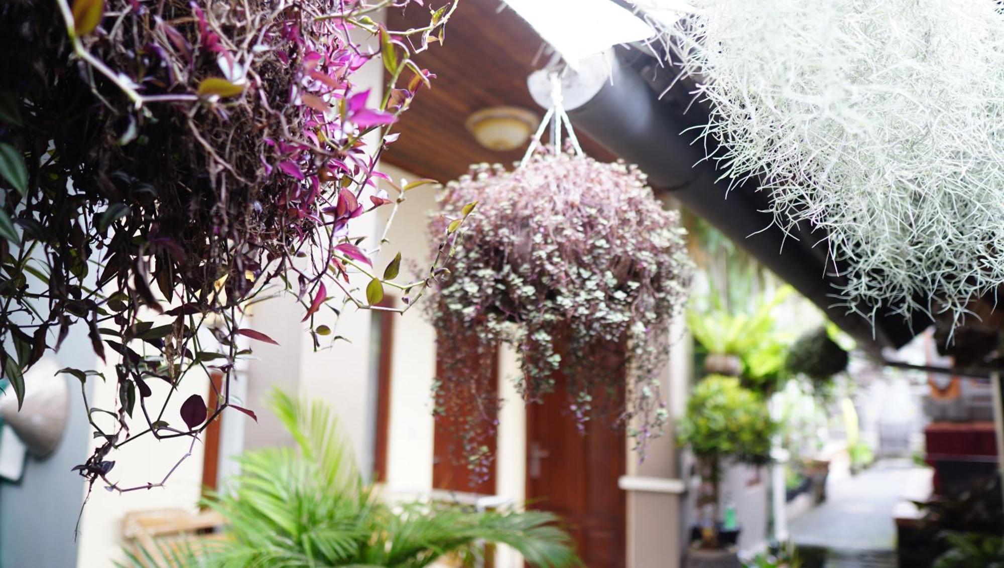 Wahwik'S House Hotel Ubud  Exterior photo